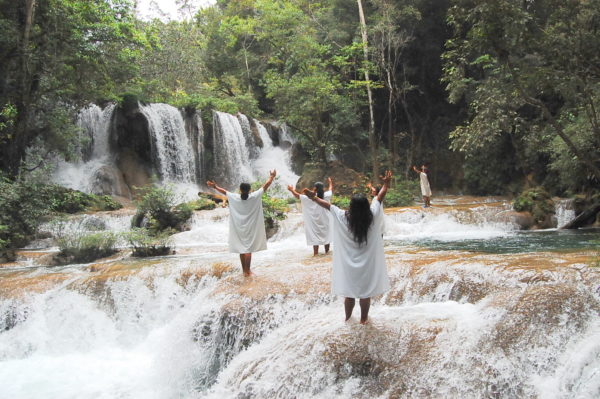 Selva Lacandona - Escudo Jaguar Tours