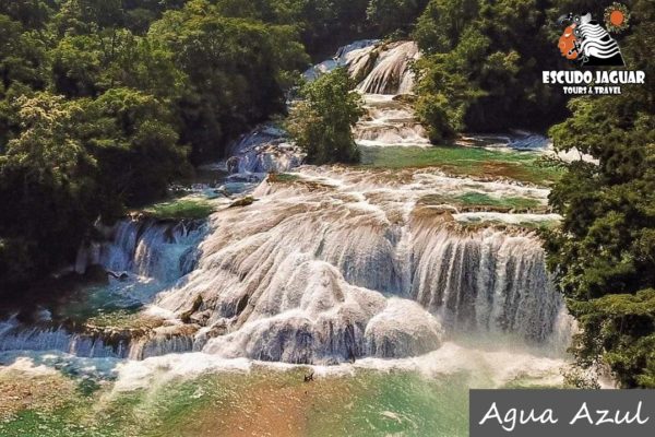 Agua Azul - Escudo Jaguar Tours