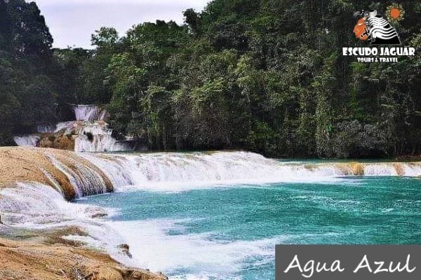 Agua Azul - Escudo Jaguar Tours