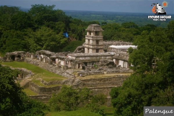 Palenque - Escudo Jaguar Tours (3)